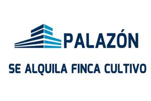 Finca de cultivo en alquiler en Crevillente (Alicante) photo 0