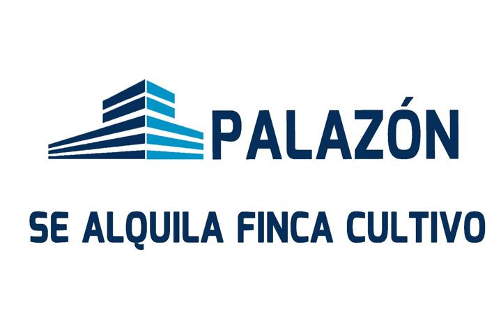 Finca de cultivo en alquiler en Crevillente (Alicante) photo 0