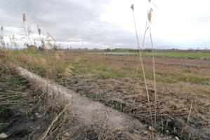 Finca rustica en venta en Crevillente (Alicante) photo 0