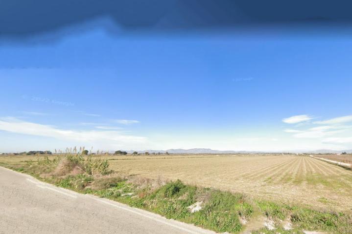 Finca de Cultivo en venta en Elche-Elx (Alicante) photo 0