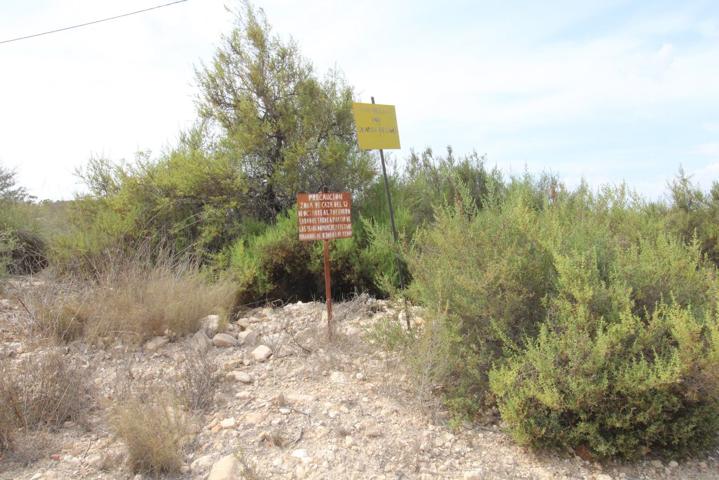 Finca rústica en venta en Crevillente (Alicante) photo 0