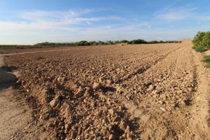 Finca de Cultivo en venta en Crevillente (Alicante) photo 0