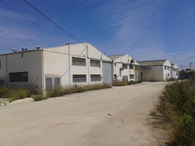 Nave en alquiler en Crevillente (Alicante), fuera de polígono industrial photo 0