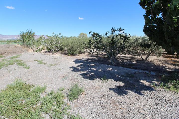 Finca de Cultivo en venta en San Isidro (Alicante) photo 0