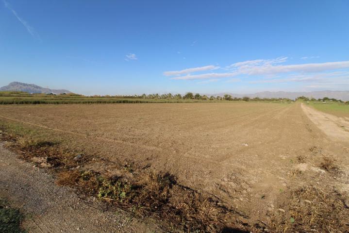 Finca rústica en venta en Catral (Alicante) photo 0