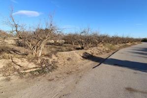 Finca de cultivo en alquiler en Albatera (Alicante) photo 0