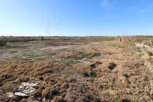 Finca rústica en venta en Catral (Alicante) photo 0