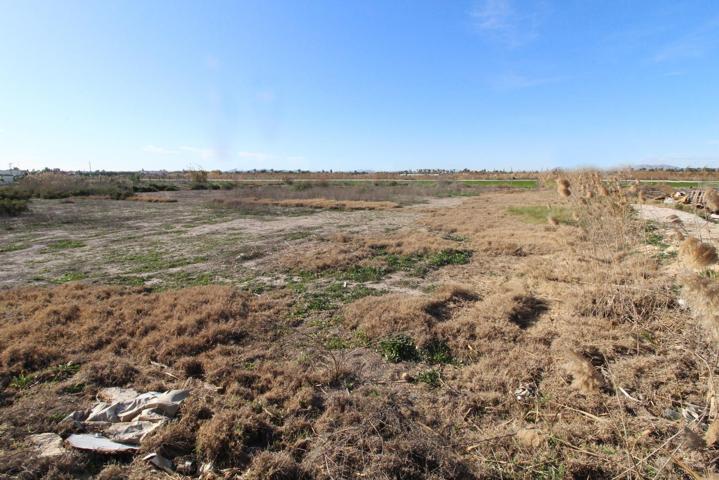 Finca rústica en venta en Catral (Alicante) photo 0