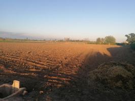 Finca rústica en venta en Catral (Alicante) photo 0