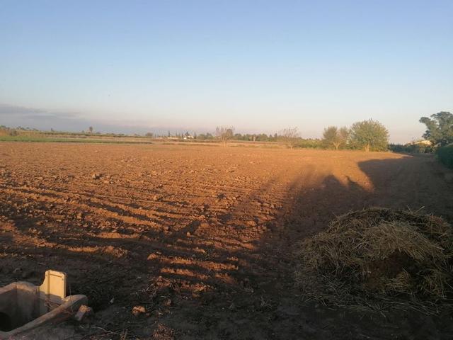 Finca rústica en venta en Catral (Alicante) photo 0