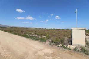 Finca de cultivo en venta en Crevillente (Alicante) photo 0