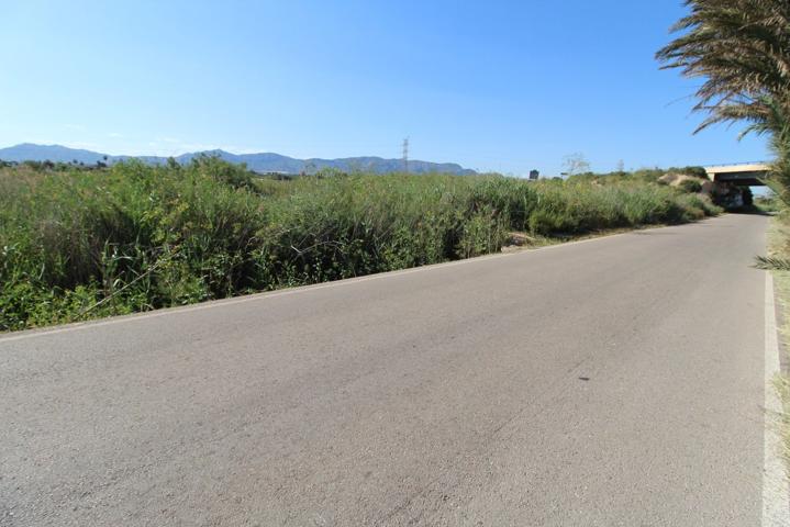 Finca rústica en venta en Crevillente (Alicante) photo 0