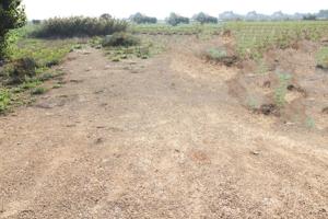 Finca rústica en venta en San Fulgencio (Alicante) photo 0