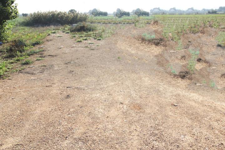 Finca rústica en venta en San Fulgencio (Alicante) photo 0