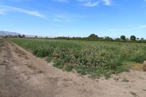 Finca rústica en venta en Catral (Alicante), cerca de San Isidro photo 0