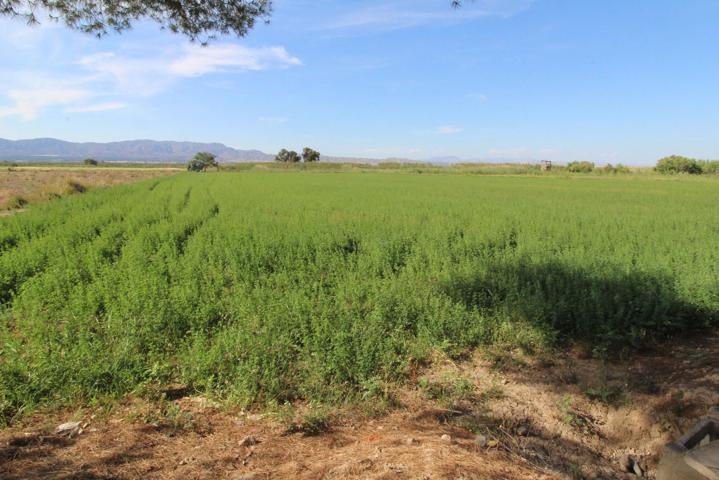 Finca de cultivo en venta en Catral (Alicante) photo 0