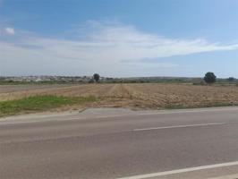 Finca rústica en venta en San Fulgencio (Alicante) photo 0