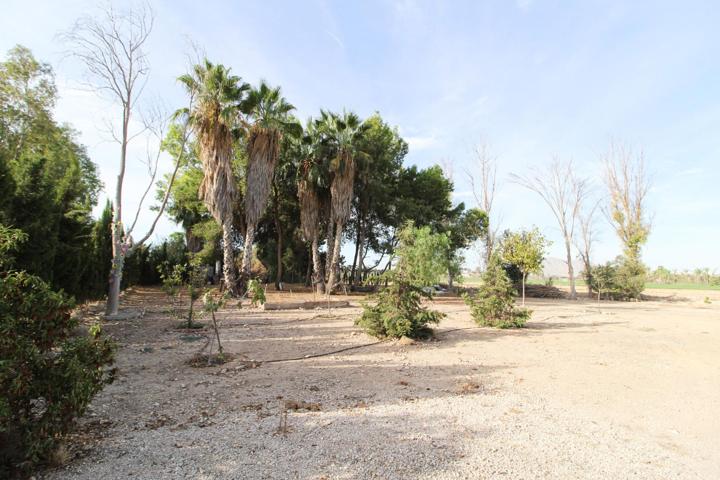 Finca rústica en venta para recreo en Catral (Alicante) photo 0