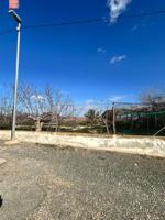 SE VENDE FINCA RUSTICA EN TORRE PACHECO photo 0