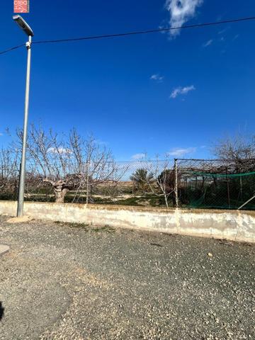 SE VENDE FINCA RUSTICA EN TORRE PACHECO photo 0