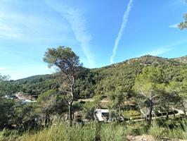 ¡Oportunidad en Les Palmeres! photo 0