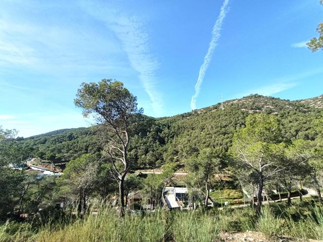 ¡Oportunidad en Les Palmeres! photo 0