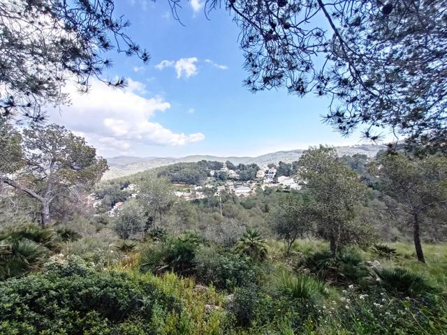 Parcela con vistas. photo 0