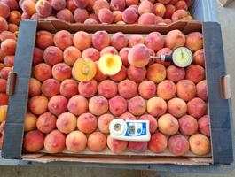 VENTA DE FINCA EN ABARAN MURCIA photo 0