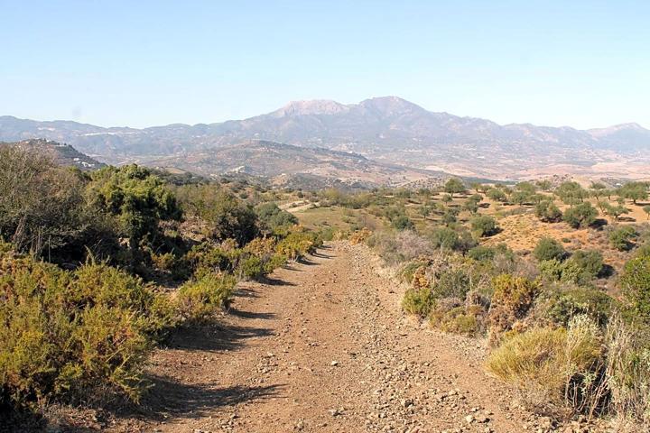 Finca Rústica en venta en Coín de 930000 m2 photo 0