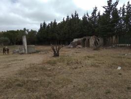 MAGNIFICA PARCELA EN PUERTO REAL EN CASINES photo 0