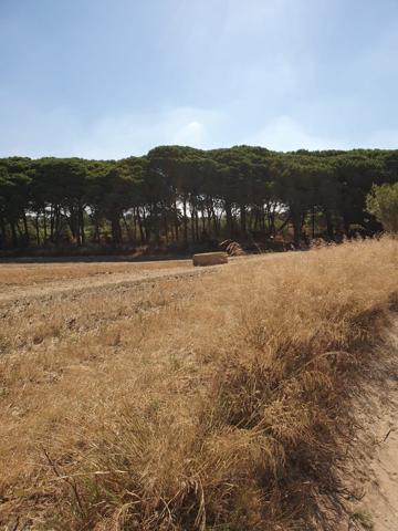 CORTIJO EXPLOTACION AGRARIA Y CABALLOS FRENTE SAN ANDRES GOLF. photo 0