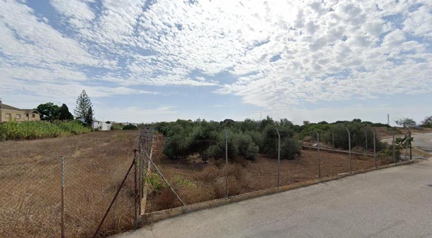 Parcela de 3.150 m2 en la mejor zona del Mayorazgo photo 0