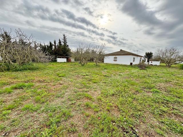 Gran Parcela Rústica con Chalet para Reformar en Venta - Zona Los Barrancos photo 0