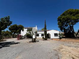 Venta - Casa en Sant Vicent del Raspeig - San Vicente del Raspeig photo 0