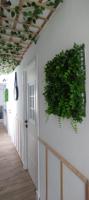 AMPLIA VIVIENDA EN RENTABILIDAD.-3.300 € AL MES photo 0