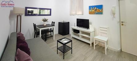 APARTAMENTO CON LICENCIA TURISTICA .- ZONA MERCADO CENTRAL-CAMPO DEL SUR photo 0