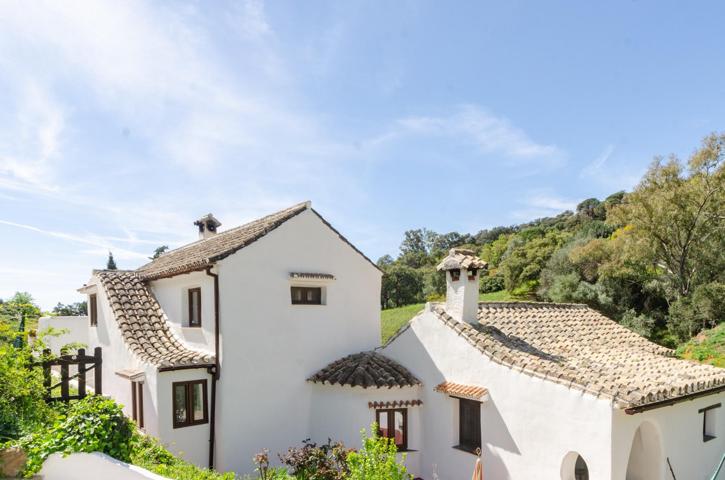 Villa de estilo rustico en Casares, parcela 30.000m photo 0