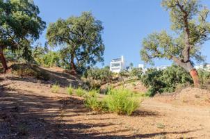 Terreno Urbano 1754 m2_Unifamiliar_ La Mairena photo 0