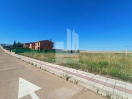 Terreno en venta en Carrascal de Barregas de 1166 m2 photo 0