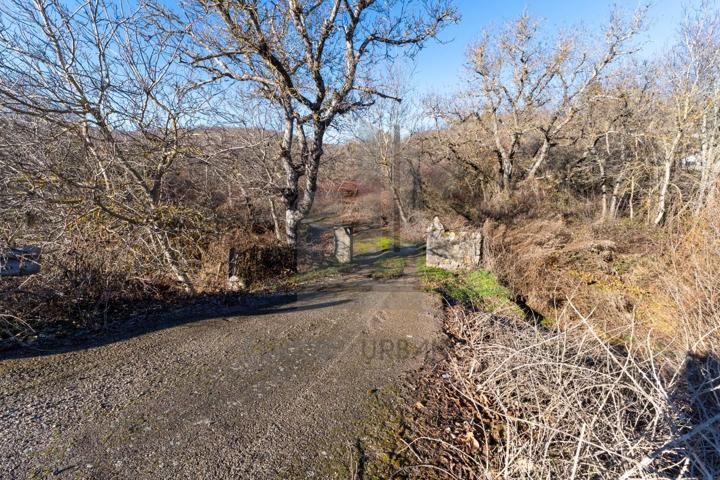 Finca Rústica en venta en Linares de Riofrío de 3097 m2 photo 0