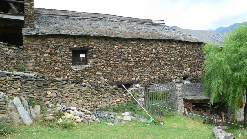 PALLER TERVEU photo 0