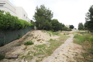 PARCELA EN VENTA EN EL VEDAT photo 0