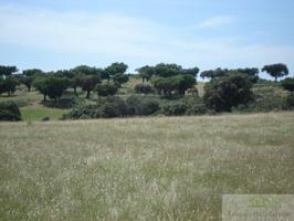 Terreno Urbanizable En venta en Cáceres, Cáceres photo 0