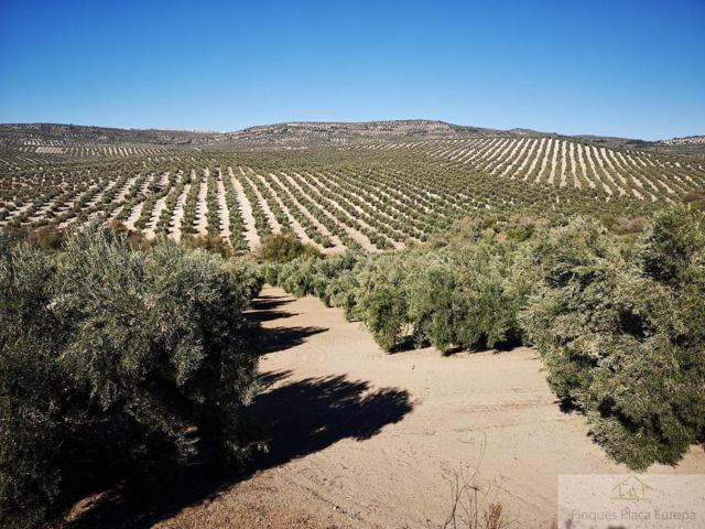 Terreno Urbanizable En venta en Cáceres, Caceres, Cáceres photo 0
