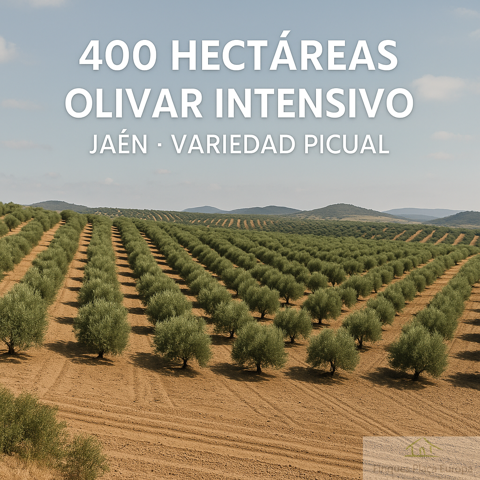 Terreno Urbanizable En venta en Jaén, Jaén, Jaén photo 0