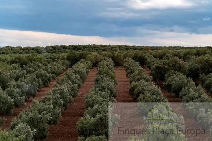 Terreno Urbanizable En venta en Montejícar, Montejícar photo 0