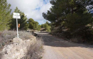 Terreno rústico en venta, Elche De La Sierra. photo 0