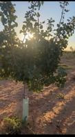 Finca en venta zona Tinajeros photo 0