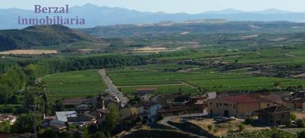 Viñas en Baños de Ebro, Rioja Alavesa photo 0