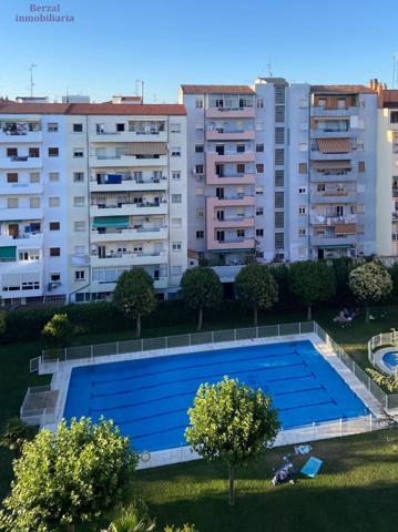 Piso coqueto de un dormitorio, baño, garaje, trastero, piscina y zona ajardinada, en Logroño. photo 0